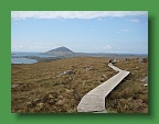 Connemara (266)